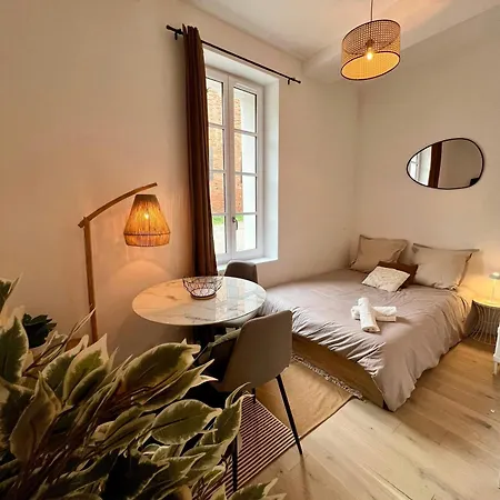 Appartement Lintime Saint Pierre Toulouse